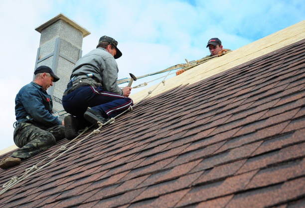 Best Metal Roofing Contractor  in Shallotte, NC